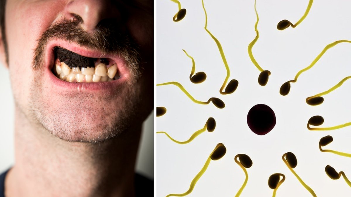 Nu har forskare sett samband mellan snus och mäns fertilitet